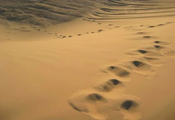 Pendulum Sejarah Itu Bernama Muharram