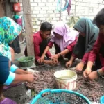 Asyiknya Mahasiswa Blue Savant Membantu Nelayan Sukolilo