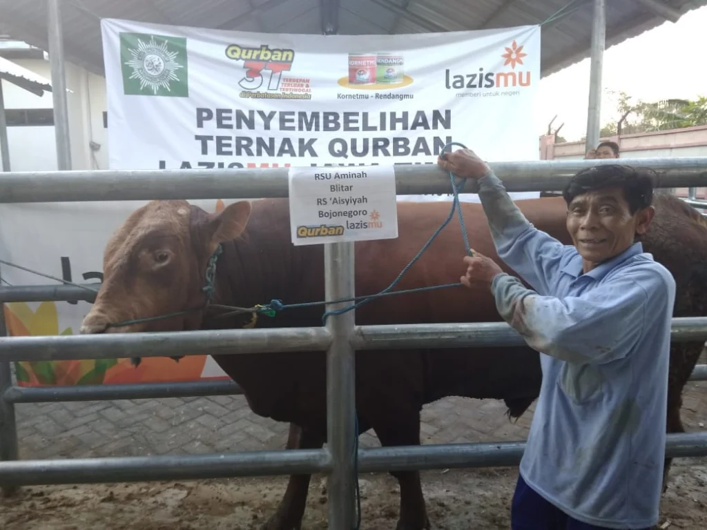 Naik 4 Kali Lipat, Kalengkan 8 Ton Daging 41 Sapi Limosin untuk KornetMu-RendangMu