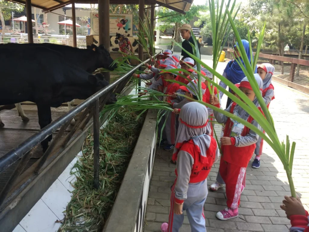 Ketika Para Siswa TK ABA 2 Malang Mengikuti Outbound