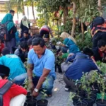 100 Aktivis IMM Surabaya Bagikan 1000 Tanaman Bunga dan Toga ke Warga