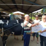 Alhamdulillah! Kurban di Umsida Tahun Ini Meningkat Dua Kali Lipat