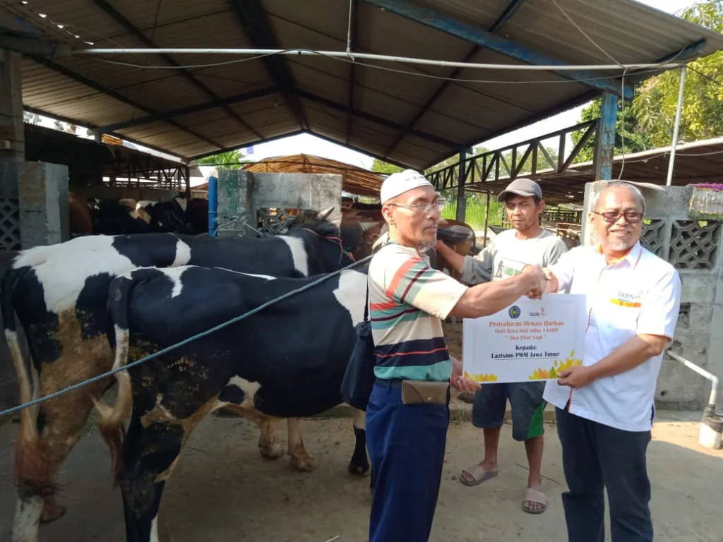 Alhamdulillah! Kurban di Umsida Tahun Ini Meningkat Dua Kali Lipat