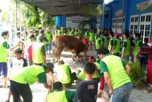 Ada Makna di Balik Nuansa Hijau Seragam Relawan Idul Adha Karangrejo