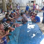 Luar Biasa! Jumlah Kurban di Desa Campurejo Meningkat Tiga Kali Lipat