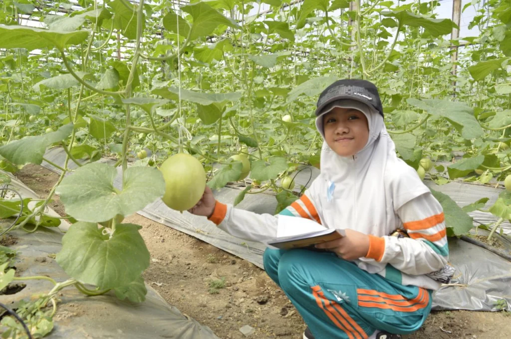 Field Trip SD Mugeb, Temukan Melon Kotak dan Jantung Hati