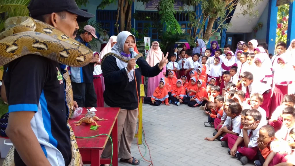 Jangan Bunuh Ular sebab Sebenarnya Dia yang Takut Manusia, Hari Cinta Puspa dan Satwa di SD Muwri