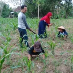 SD Muwri Gelar Lomba Foto Keluarga ‘Hijaukan Bumi’