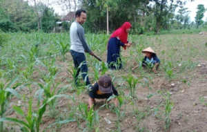 SD Muwri Gelar Lomba Foto Keluarga ‘Hijaukan Bumi’