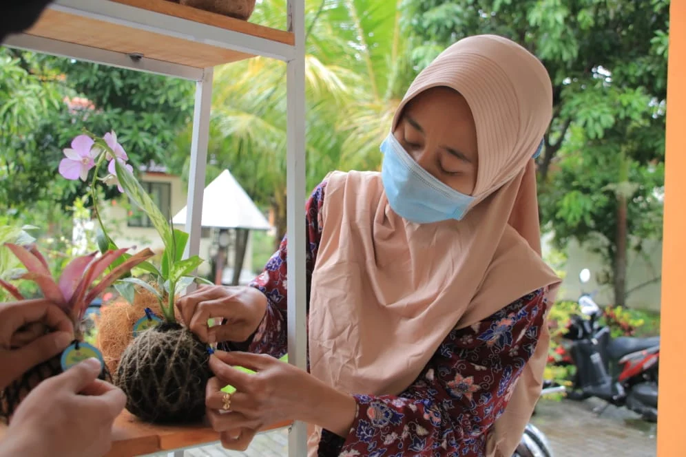 Percantik Janda Bolong dengan Kokedama