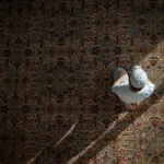 Derajat Manusia Tertinggi, Khutbah Jumat Pilihan