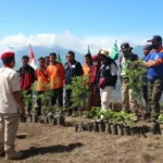 Tanam Satu Juta Pohon, PWPM Realisasi Gerakan Ini