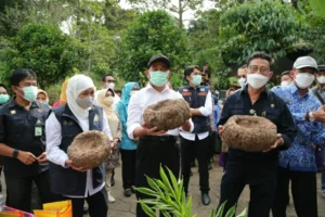 Menko Muhadjir: Saya Saksi Porang Angkat Harkat Warga Madiun