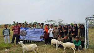 Profesor IPB Ajak Siswa SMKM 5 Gresik Bikin Wafer Inovasi Pakan Ternak 