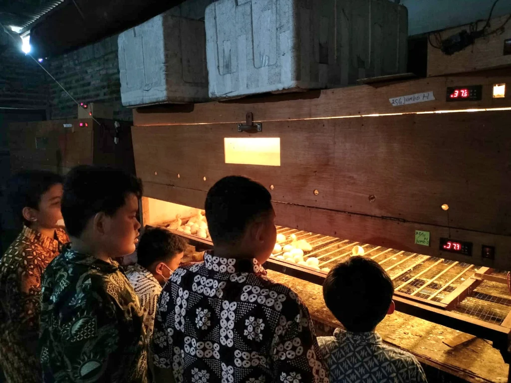 Begini Kesabaran Peserta Live in Journey Menunggu Meri Menetas