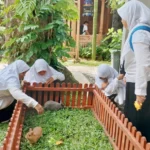 Kerasan! Tasmik sambil Healing di Griya Jenderal Soedirman Panceng