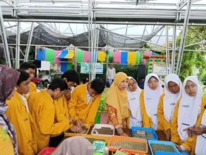 Praktik Menanam Hidroponik ala IPM SMPM 12 Sendangagung