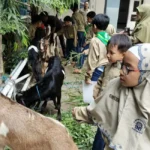 Suasana Riang Siswa SD Musix Saat Sambut Kambing Kurban