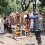 Daftar Juara Lomba Tapak Tilas Jenderal Soedirman Musywil Jatim