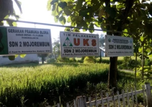 Sekolah di Tengah Sawah yang Belum Libur Ini, Kibarkan Merah Putih Tiap Hari