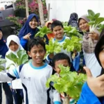 Petik Sayur Hidroponik Bersama Bunda, Sampaikan Sayang tanpa Kata