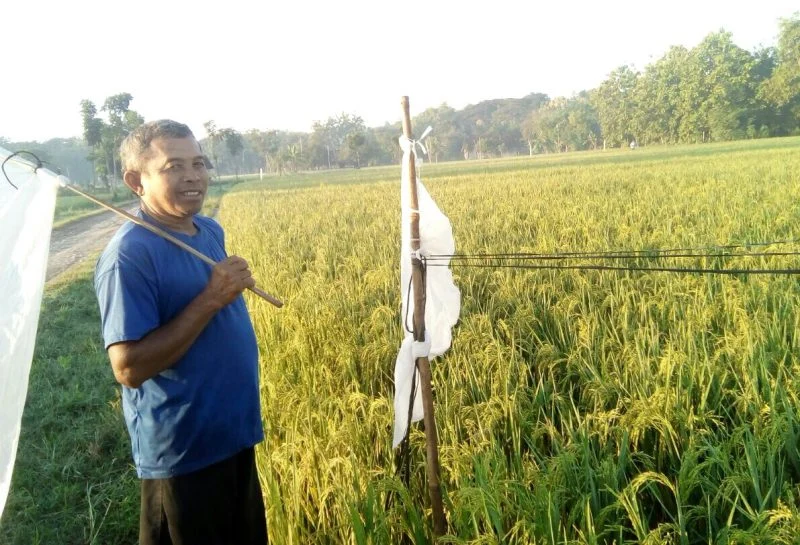 Kisah tentang Larangan Shalat di Pertapaan Mbah Suro Nginggil yang Jadi Markas PKI