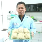 Jika Tepung Umbi Mampu Menggantikan Terigu, Inilah Keuntungannya