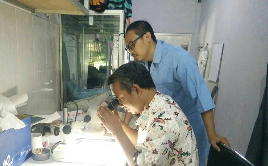 Semakin Peduli Lingkungan setelah Lihat Jeroan Ikan Mengandung Plastik