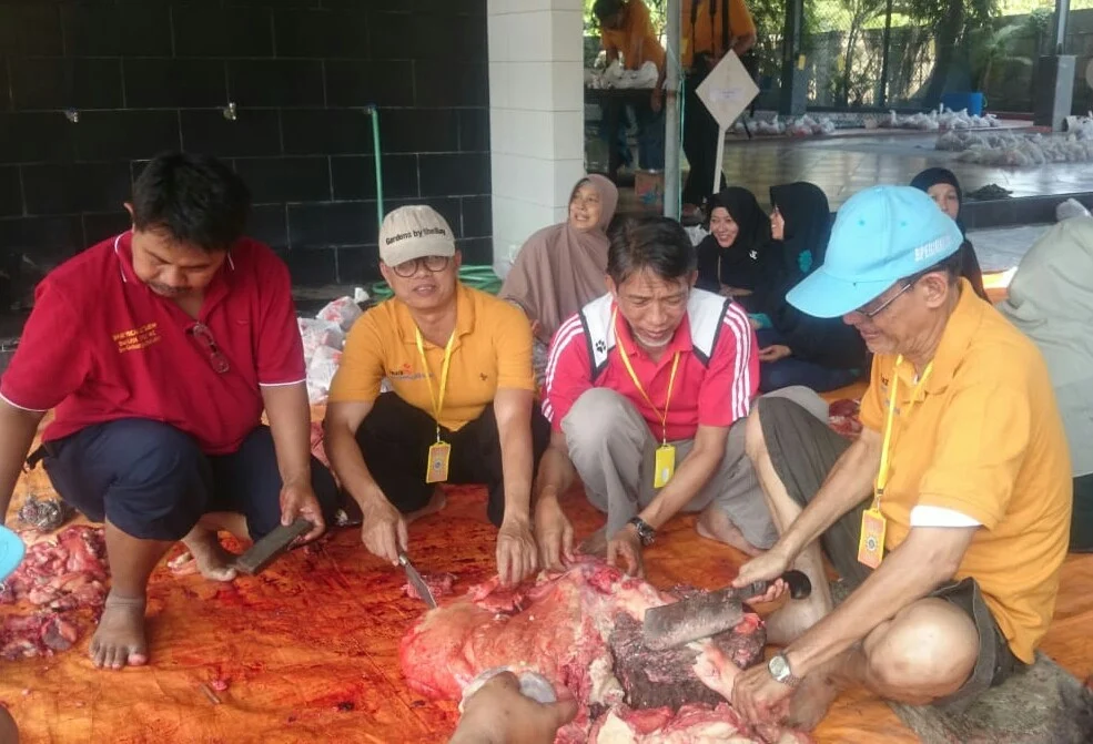 Potong 14 Kurban Sapi, Pesan Pisau Khusus dari Jabar