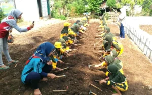 Ketika Siswa TK Aisyiyah 40 PPS Belajar Berkebun di Kebun Bibit Agro Sayur