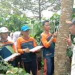 Untuk Hasilkan Kopi Bercita Rasa Tinggi, Ternyata Luwak pun Berpuasa