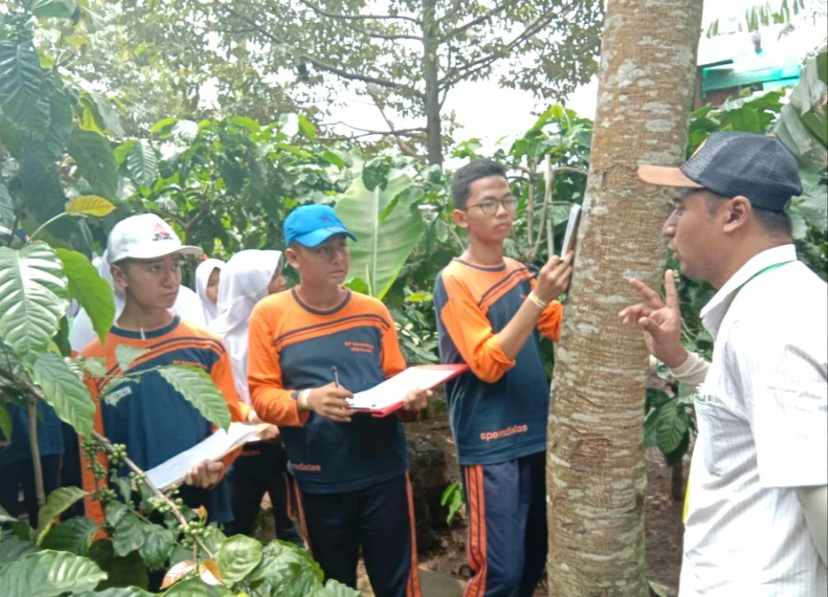 Untuk Hasilkan Kopi Bercita Rasa Tinggi, Ternyata Luwak pun Berpuasa