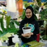 Alumnus SMK Mutu Sukses Bisnis Tanaman Hias