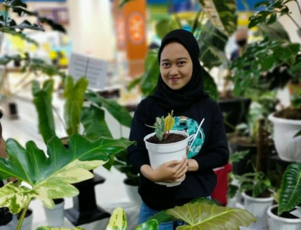 Alumnus SMK Mutu Sukses Bisnis Tanaman Hias