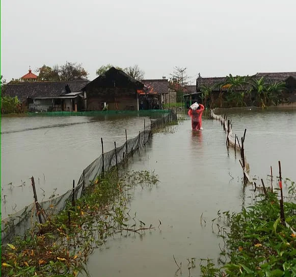 Terobos Banjir, Relawan MDMC-Lazismu Sidoarjo Bagikan Nasi Bungkus