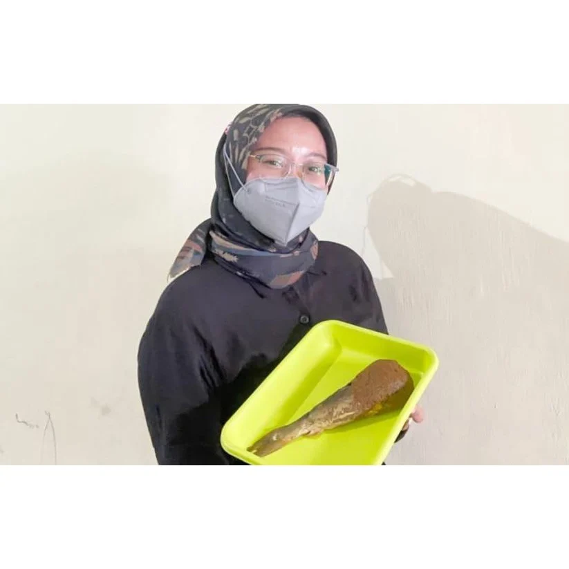 KKN Online Mahasiswa UMG Kembangkan Otak-Otak Bandeng