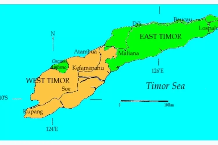 Tanwir Special: Sejarah Pulau Timor dan Perebutan Dua Takhta