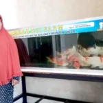Unik, Gerak Jalan di Benjeng Berhadiah Akuarium Ikan Koi Senilai Rp 15 Juta