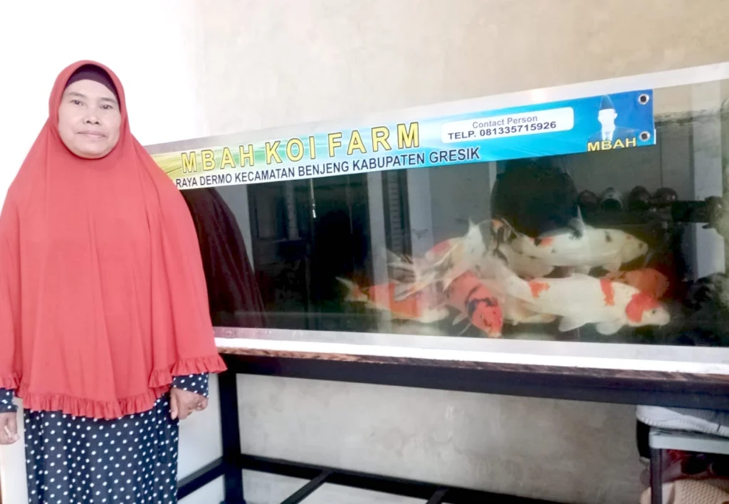 Unik, Gerak Jalan di Benjeng Berhadiah Akuarium Ikan Koi Senilai Rp 15 Juta