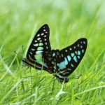 3 Kunci Meraih Bahagia