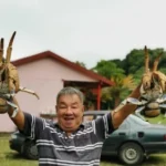 Imlek di Christmas Island Dirayakan Semua Etnis