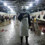 Sudah 25 Tahun Jadi Jagal, Ketika Ikut Uji Kompetensi seperti Ini Tegangnya