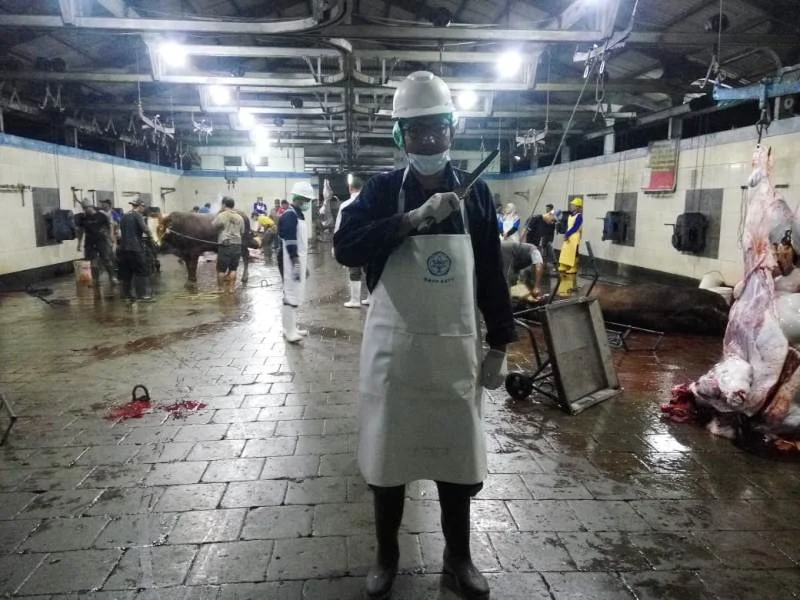 Sudah 25 Tahun Jadi Jagal, Ketika Ikut Uji Kompetensi seperti Ini Tegangnya