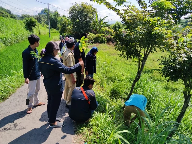 Mahasiswa UM Jember Tanam Pohon Sejuta Kehidupan
