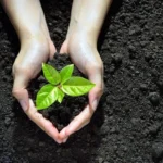 Kebangkitan Gerakan Ekologi di AMM