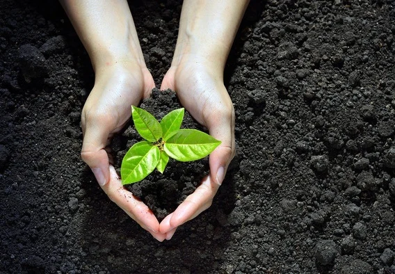 Kebangkitan Gerakan Ekologi di AMM