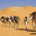 Kisah Israk Mikraj, Para Kafilah Membenarkan Cerita Nabi