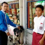 Siswa Kelas 6 SD Bisa Beli Kambing Kurban dari Tabungan Uang Jajan