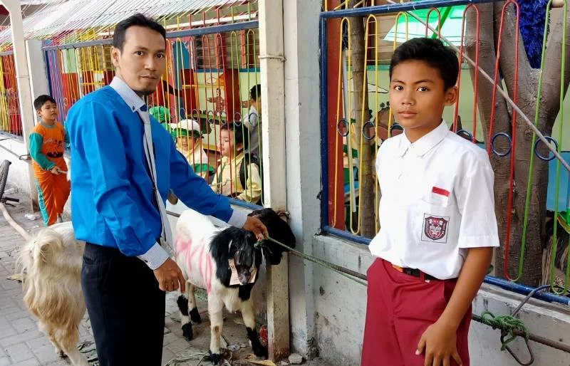 Siswa Kelas 6 SD Bisa Beli Kambing Kurban dari Tabungan Uang Jajan