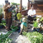 Asyiknya Panen Sayuran di Atas Lantai Lima Gedung Sekolah
